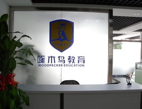 啄木鳥教育喜獲2500萬元投資，專注深化留學(xué)咨詢服務(wù)