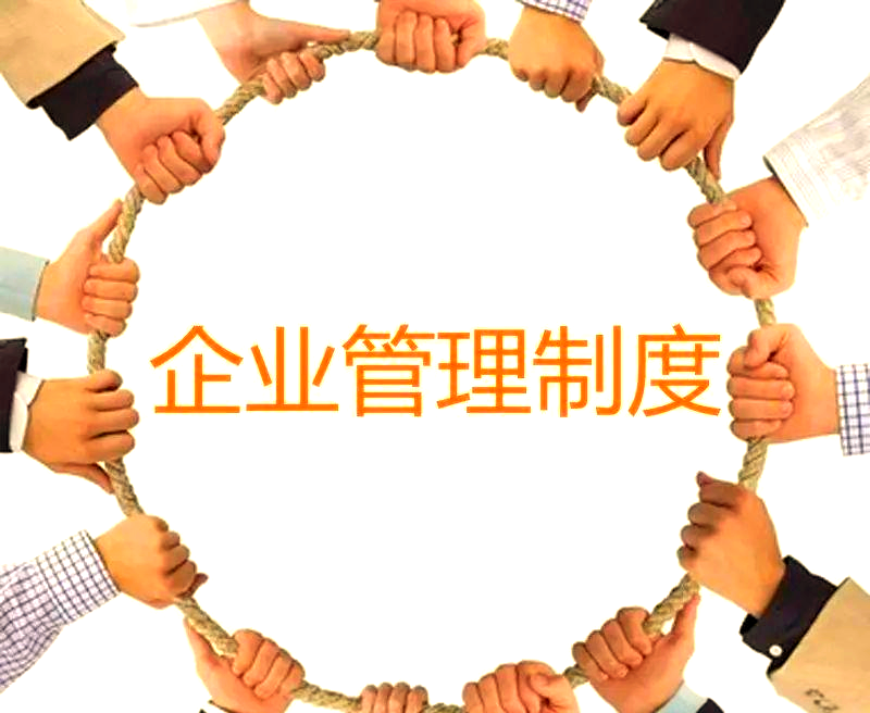 企業(yè)嚴(yán)管 制度化管理的高效發(fā)展之路